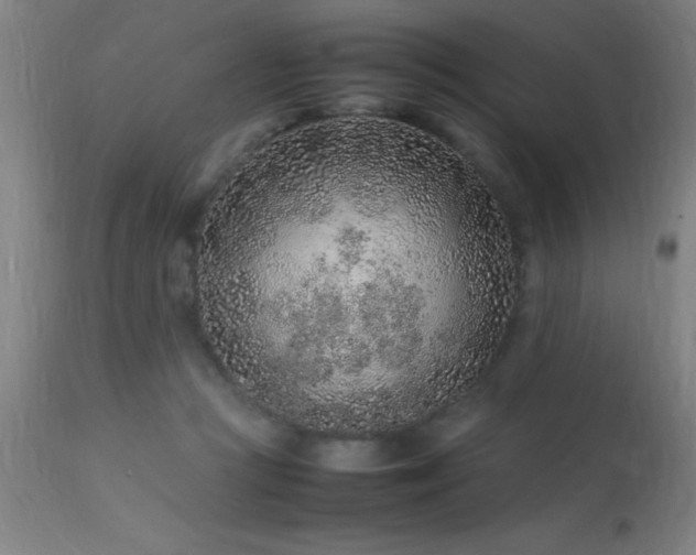 X0000113370361200909221228