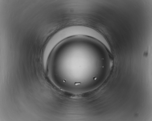 X0000113370362200909221228