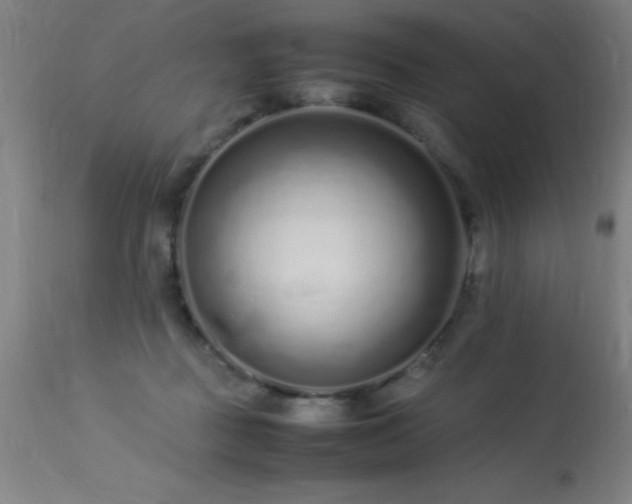 X0000113370363200909221228