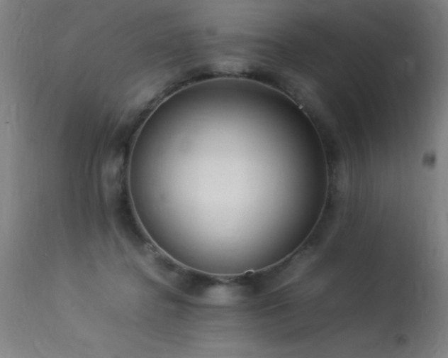 X0000113370364200909221228