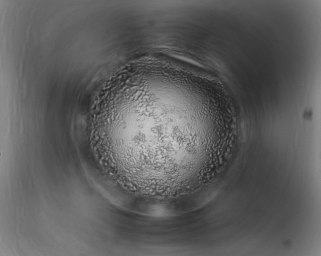 X0000113370365200909221228