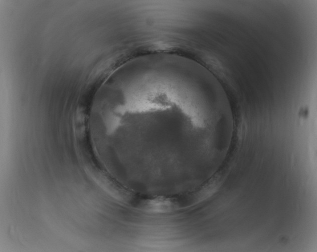 X0000113370366200909221228