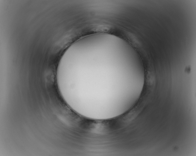X0000113370370200909221228