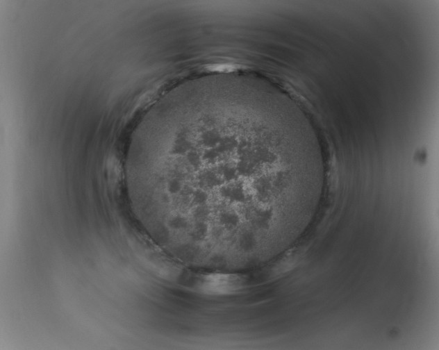 X0000113370371200909221228