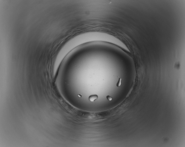 X0000113370372200909221228