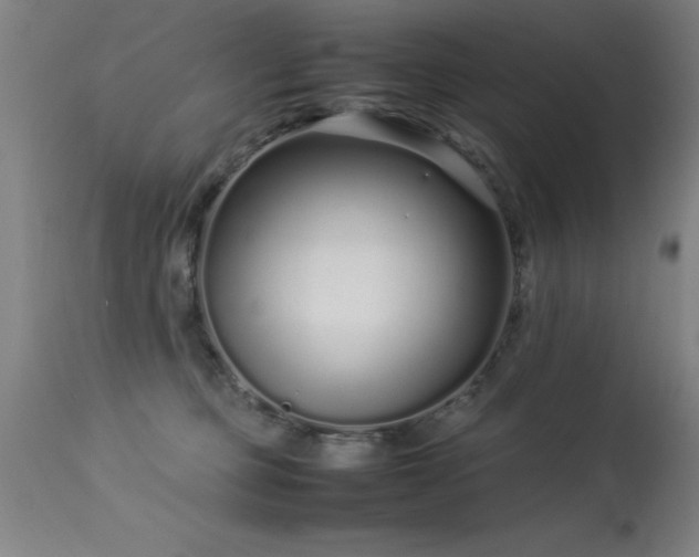 X0000113370373200909221228