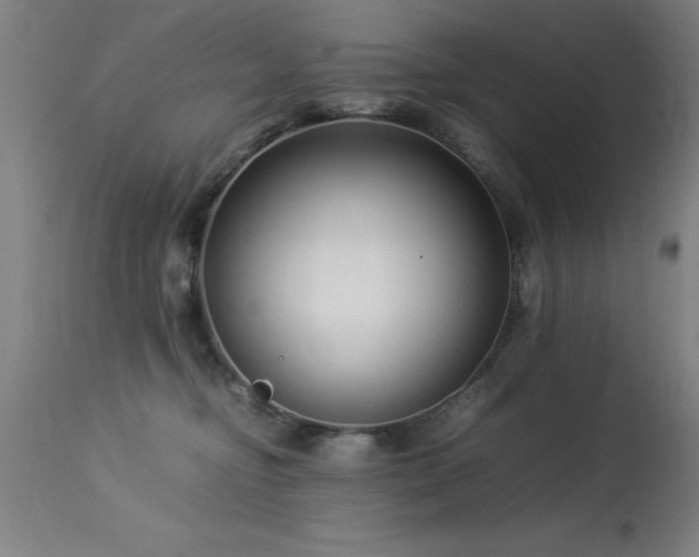 X0000113370374200909221228