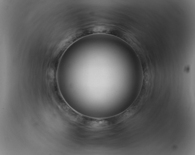 X0000113370375200909221228