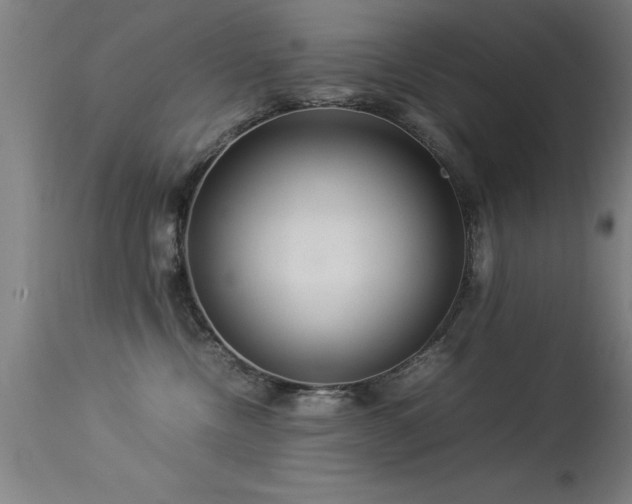 X0000113370378200909221228