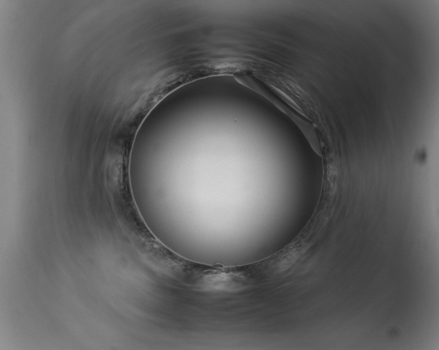 X0000113370379200909221228