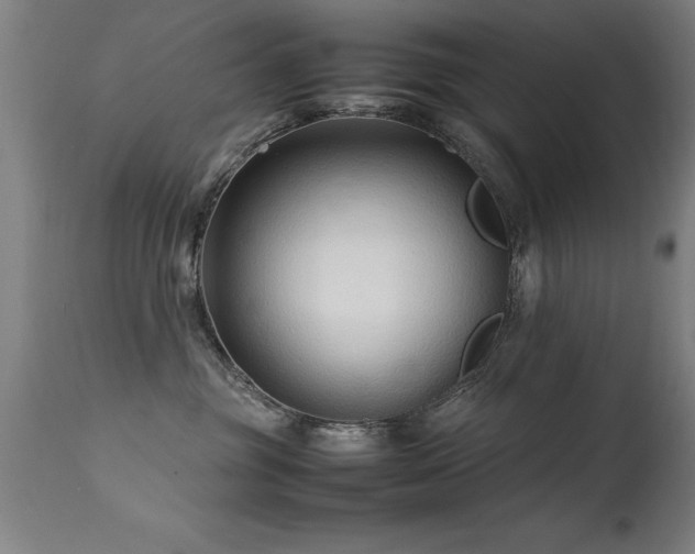 X0000113370381200909221229