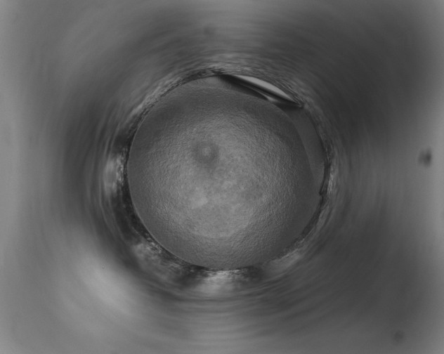 X0000113370382200909221229