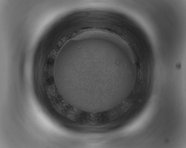 X0000113370383200909221229