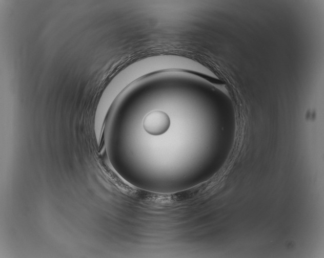 X0000113370384200909221229