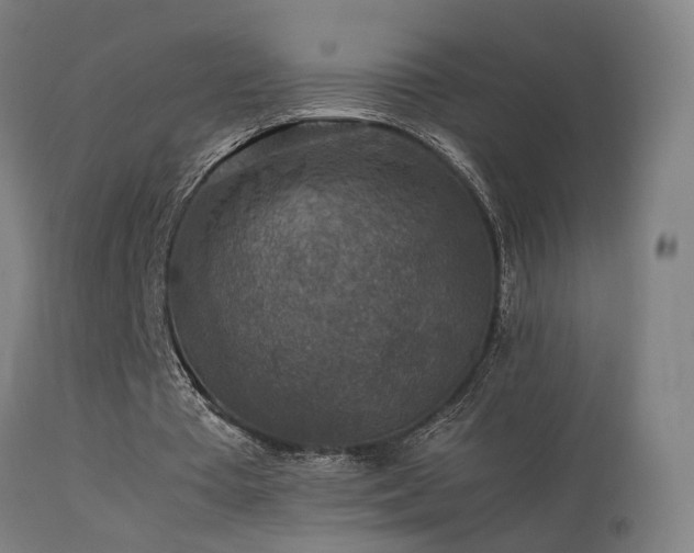 X0000113370385200909221228