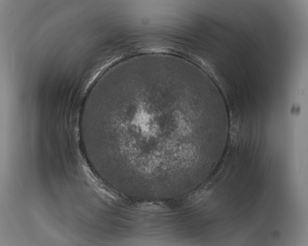 X0000113370386200909221228