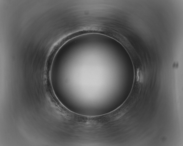 X0000113370388200909221228