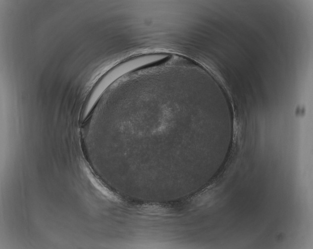 X0000113370389200909221228