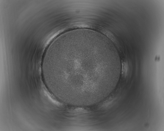X0000113370390200909221228