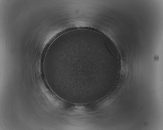 X0000113370391200909221228