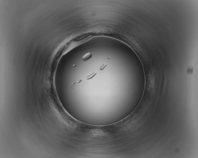 X0000113370392200909221228