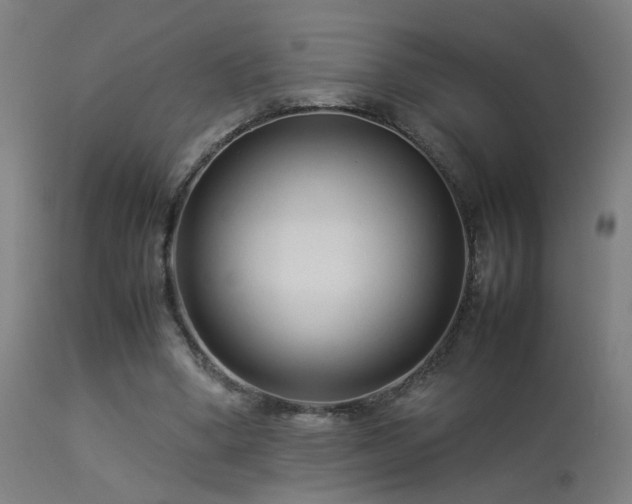 X0000113370394200909221228