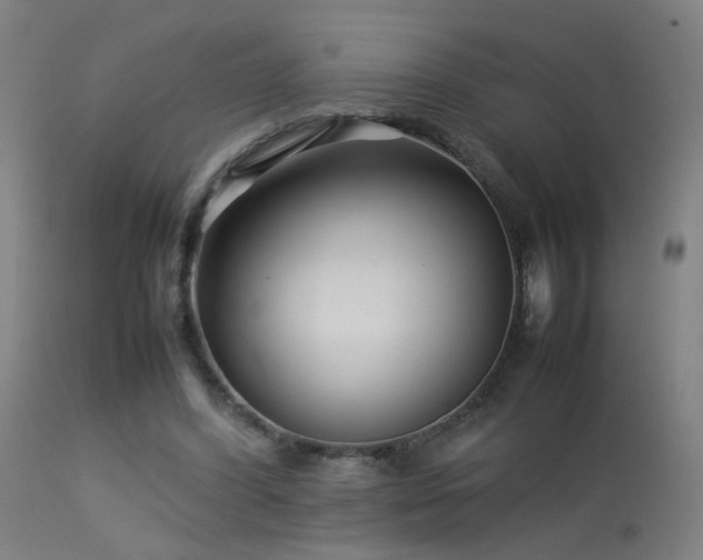 X0000113370396200909221228