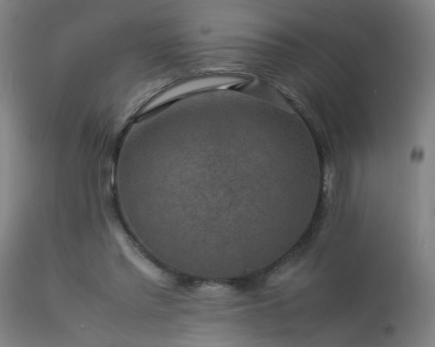 X0000113370397200909221228
