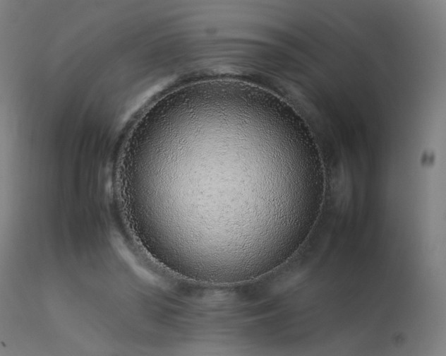 X0000113370398200909221228