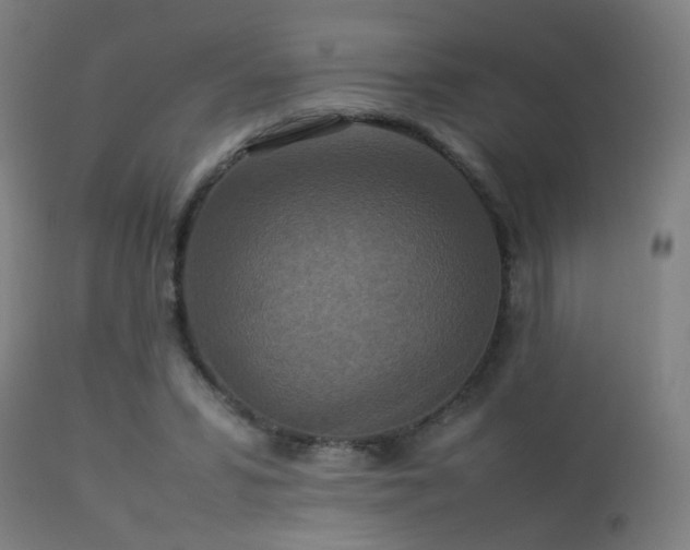 X0000113370399200909221228