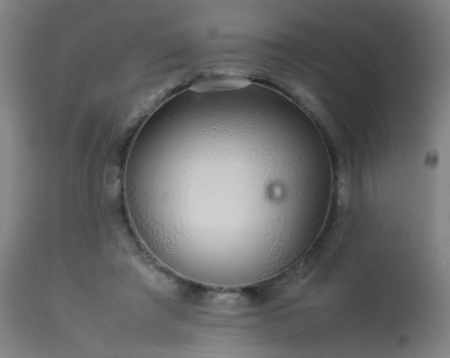 X0000113370401200909221228