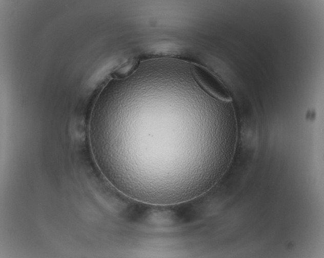 X0000113370403200909221228