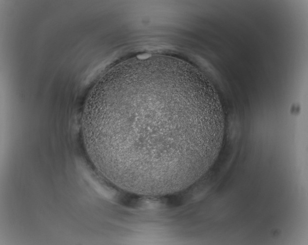 X0000113370405200909221228