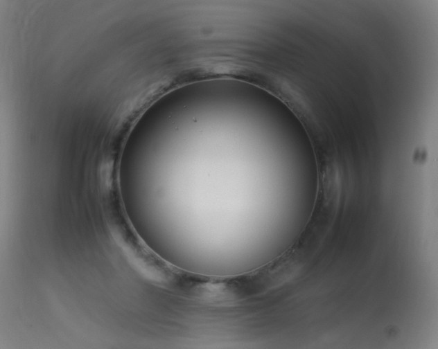 X0000113370406200909221228