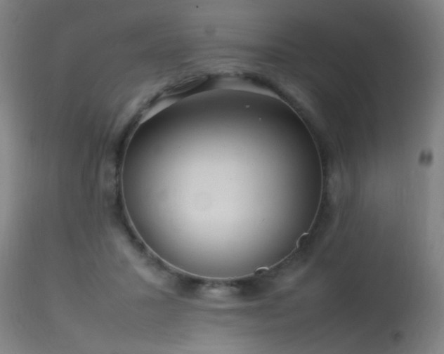 X0000113370407200909221228