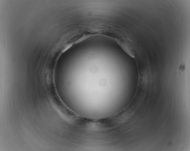 X0000113370408200909221228