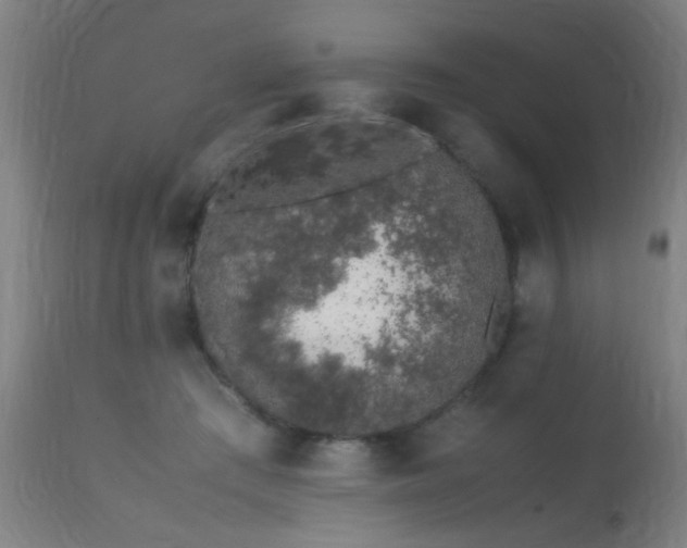 X0000113370409200909221228