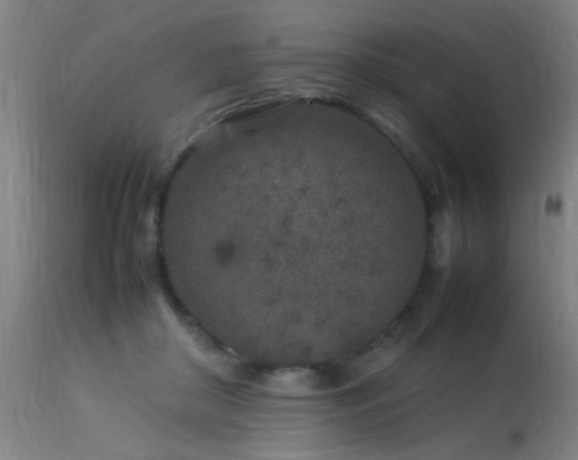 X0000113370410200909221228