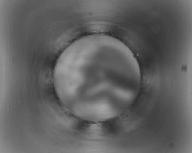 X0000113370411200909221228