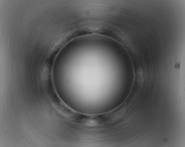 X0000113370412200909221228