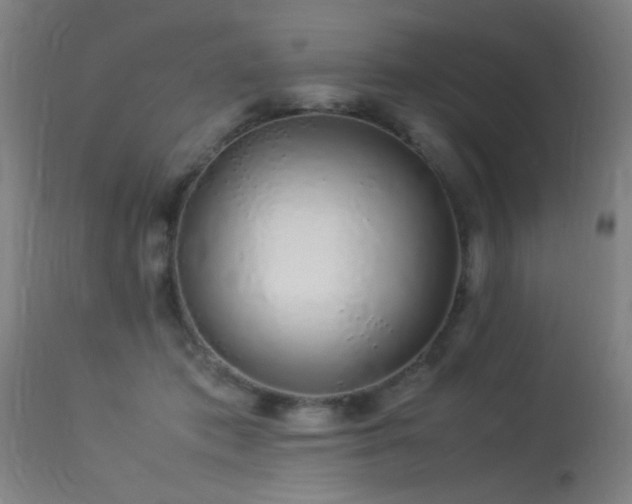X0000113370413200909221227
