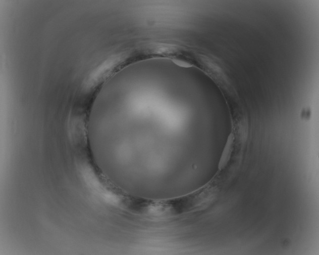X0000113370415200909221227