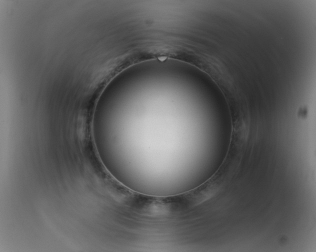 X0000113370416200909221227