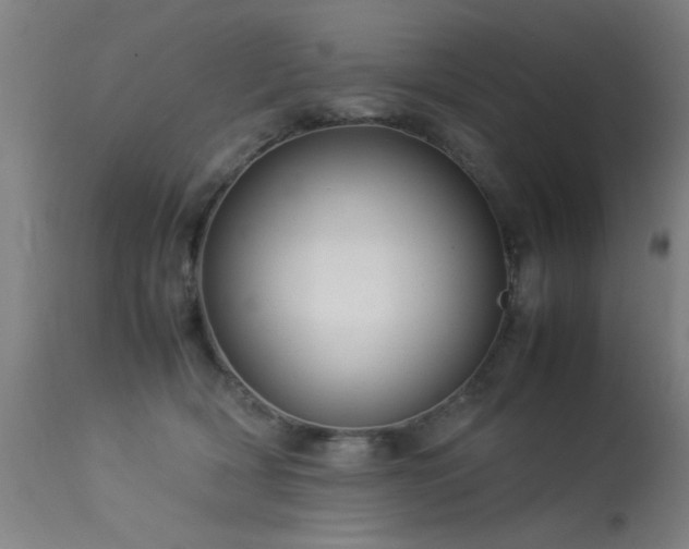 X0000113370418200909221227