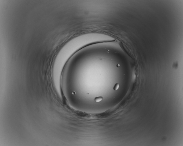 X0000113370419200909221227