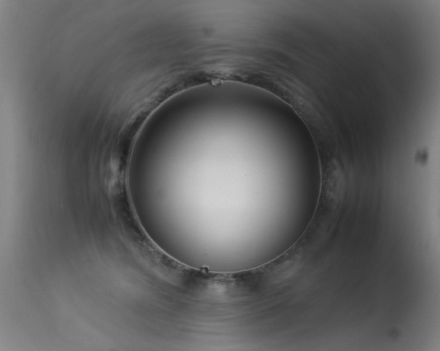 X0000113370420200909221227