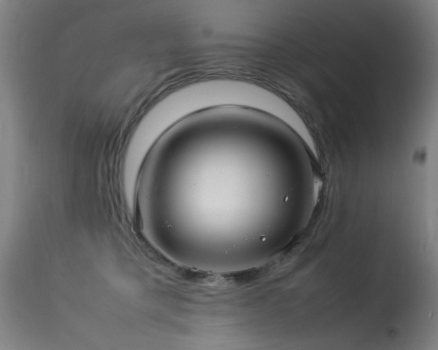 X0000113370421200909221227