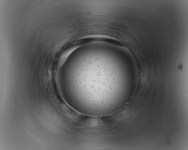 X0000113370424200909221227