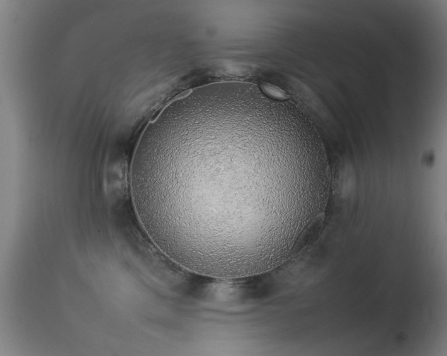 X0000113370425200909221227