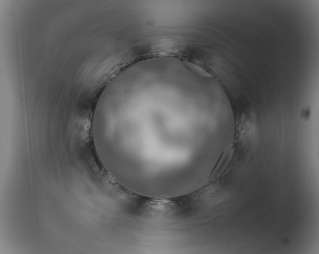 X0000113370427200909221227
